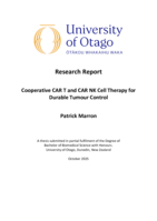 Cooperative CAR T and CAR NK Cell Therapy for Durable Tumour Control