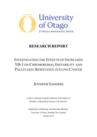 Investigating the Effects of Increased YB-1 on Chromosomal Instability and Paclitaxel Resistance in Lung Cancer