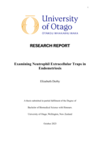 Examining Neutrophil Extracellular Traps in Endometriosis