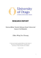 Extracellular Vesicle Release from Colorectal Cancer Cell Models