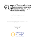 'Miniaturising' Calcium Imaging for High-Throughput Screening of RyR2 Genetic Variants and Anti-Arrhythmics