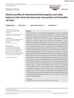 Distinct profiles of mitochondrial bioenergetics and redox balance in left atrial and ventricular myocardium in the healthy rat heart