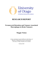 Ferumoxytol Retention and Tumour-Associated Macrophages in Brain Tumours