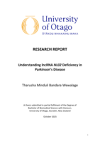 Understanding lncRNA NL02 Deficiency in Parkinson's Disease