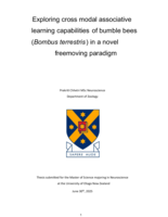 Exploring cross modal associative learning capabilities of bumble bees (<em>Bombus terrestris</em>) in a novel freemoving paradigm