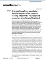 Chemical cues from a predatory fish (Parapercis colias) suppress feeding rates of the New Zealand sea urchin (Evechinus chloroticus)