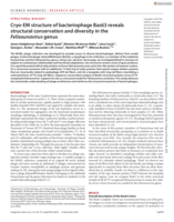 Cryo-EM structure of bacteriophage Bas63 reveals structural conservation and diversity in the Felixounavirus genus