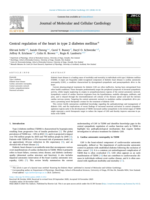 Central regulation of the heart in type 2 diabetes mellitus