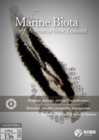 Kingdom Animalia, phylum Platyhelminthes (flatworms, cestodes, trematodes, & monogeneans)