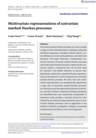 Multivariate representations of univariate marked Hawkes processes