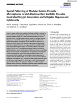 Spatial Patterning of Modular Gelatin-Peroxide Microspheres in Melt-Electrowritten Scaffolds Provides Controlled Oxygen Generation and Mitigates Hypoxia and Cytotoxicity