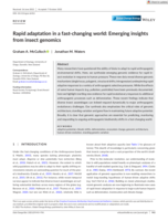 Rapid adaptation in a fast-changing world: Emerging insights from insect genomics