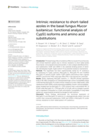 Intrinsic resistance to short-tailed azoles in the basal fungus Mucor lusitanicus: functional analysis of Cyp51 isoforms and amino acid substitutions