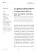 Functional redundancy enhances microbial resilience in streams: mitigating flow perturbations