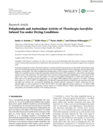 Polyphenols and Antioxidant Activity of Thunbergia laurifolia Infused Tea under Drying Conditions