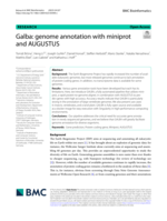 Galba: genome annotation with miniprot and AUGUSTUS