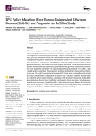 TP53 Splice Mutations Have Tumour-Independent Effects on Genomic Stability and Prognosis: An In Silico Study