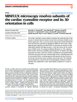 MINFLUX microscopy resolves subunits of the cardiac ryanodine receptor and its 3D orientation in cells