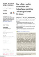 New collagen peptide markers from New Guinea fauna: identifying archaeological bone in the tropics