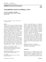 Transepithelial corneal cross-linking: a review