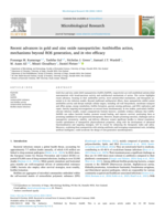 Recent advances in gold and zinc oxide nanoparticles: Antibiofilm action, mechanisms beyond ROS generation, and in vivo efficacy