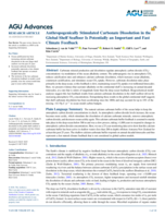 Anthropogenically Stimulated Carbonate Dissolution in the Global Shelf Seafloor Is Potentially an Important and Fast Climate Feedback
