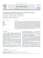 Environmental and anthropogenic stressors may influence the prevalence of disease-like phenotypes in an intertidal kelp