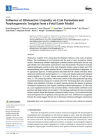 Influence of Obstructive Uropathy on Cyst Formation and Nephrogenesis: Insights from a Fetal Lamb Model