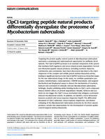 ClpC1-targeting peptide natural products differentially dysregulate the proteome of Mycobacterium tuberculosis