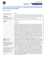 Two new Cenozoic fossil species of Amphithyris (Brachiopoda) from North Otago, New Zealand