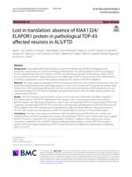 Lost in translation: absence of KIAA1324/ELAPOR1 protein in pathological TDP-43-affected neurons in ALS/FTD