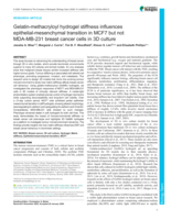 Gelatin-methacryloyl hydrogel stiffness influences epithelial-mesenchymal transition in MCF7 but not MDA-MB-231 breast cancer cells in 3D culture