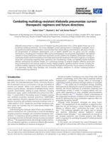 Combating multidrug-resistant <em>Klebsiella pneumoniae</em>: current therapeutic regimens and future directions