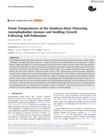 Floral Temperatures of the Southern-Most Flowering Amorphophallus titanum and Seedling Growth Following Self-Pollination