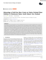 Mineralogy of Soil‐Free Bare Crusts on Native Dryland Plant Habitats in Mackenzie Basin, South Island, New Zealand