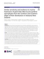 Similar sensitivity and resilience to marine heatwaves of giant kelp (<em>Macrocystis pyrifera</em>) sporophytes from the northern and southern edges of their distribution in Aotearoa New Zealand