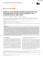 Incidence of Interspecific Hybrids Resulting from Open Field Pollination of Wild Turnip Populations with Herbicide-Resistant Rape Pollen