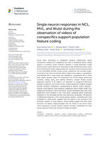 Single neuron responses in NCL, MVL, and Wulst during the observation of videos of conspecifics support population feature coding