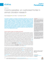 Colorful parasites: an overlooked frontier in animal coloration research