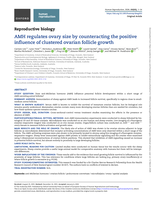 AMH regulates ovary size by counteracting the positive influence of clustered ovarian follicle growth