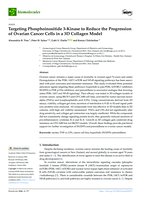 Targeting Phosphoinositide 3-Kinase to Reduce the Progression of Ovarian Cancer Cells in a 3D Collagen Model