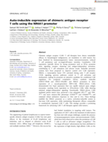Auto-inducible expression of chimeric antigen receptor T&nbsp;cells using the NR4A1 promoter