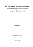 The structure and operation of the binding site for the terminal quinone electron acceptor of Photosystem II