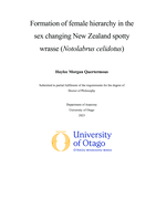 Formation of female hierarchy in the sex changing New Zealand spotty wrasse (Notolabrus celidotus)