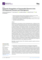 Epigenetic Deregulation of Transposable Elements Links Developmental Processes and Tumorigenesis