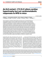 An IL6 variant -174 G-C alters cardiac hypertrophy but not cardiometabolic responses to HFD in mice