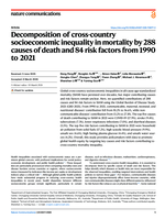 Decomposition of cross-country socioeconomic inequality in mortality by 288 causes of death and 84 risk factors from 1990 to 2021