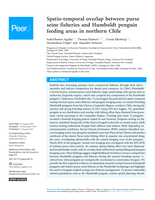 Spatio-temporal overlap between purse seine fisheries and Humboldt penguin feeding areas in northern Chile