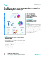 The E3-ome gene-centric compendium reveals the human E3 ligase landscape