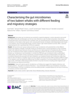 Characterising the gut microbiomes of two baleen whales with different feeding and migratory strategies
